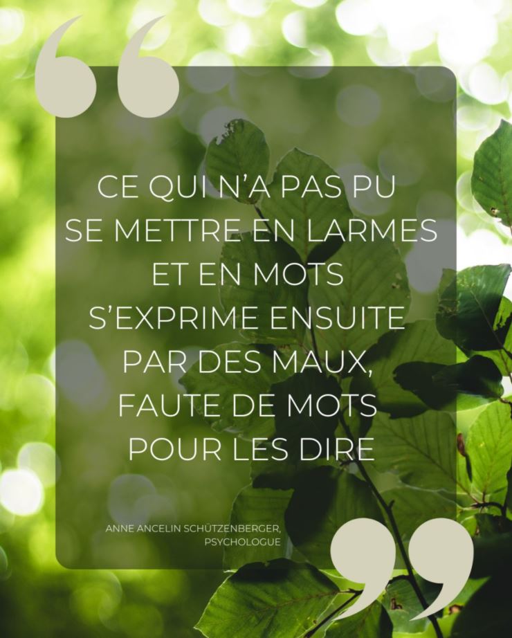 Psychogénéalogie et Coaching de vie au Puy-en-Velay (Haute-Loire) avec Christelle Ville, Mémoires familiales & ReNaissance, Le Puy-en-Velay (Haute-Loire)